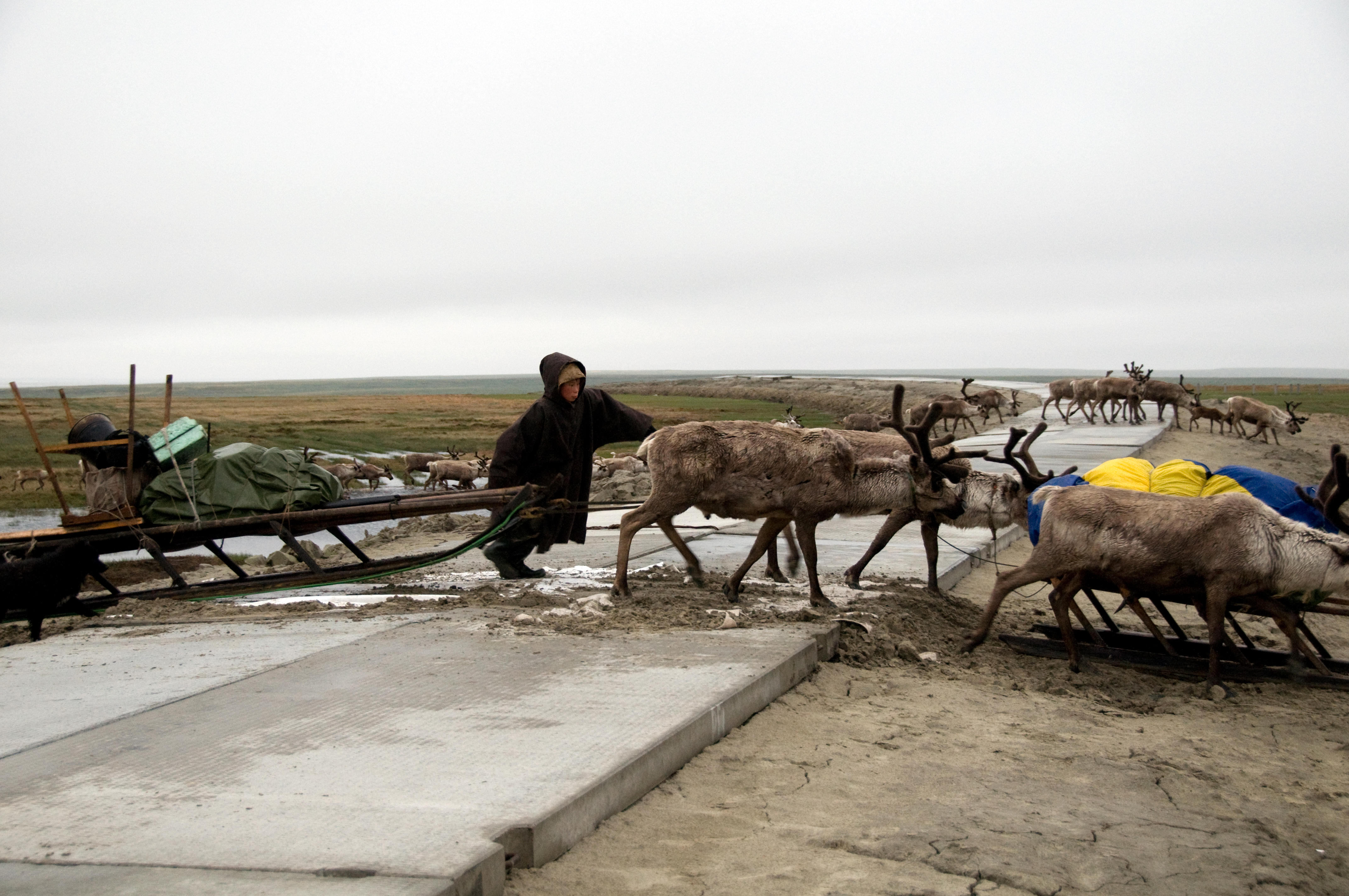 Yamal LNG And Arctic LNG 2 Gas Extraction In The Russian Arctic Gogel